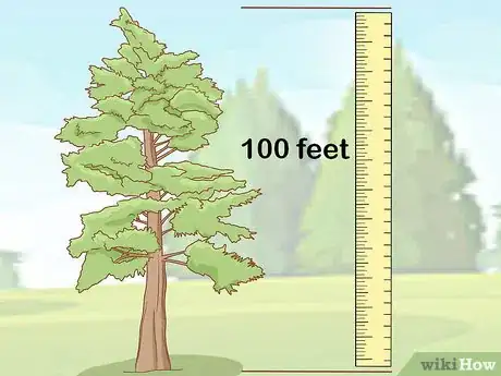 Imagen titulada Identify Cedar Trees Step 7