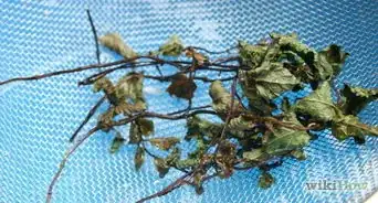 utilizar menta como repelente de insectos