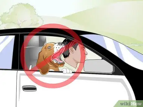 Imagen titulada Clean Gunk from Your Dog's Eyes Step 11