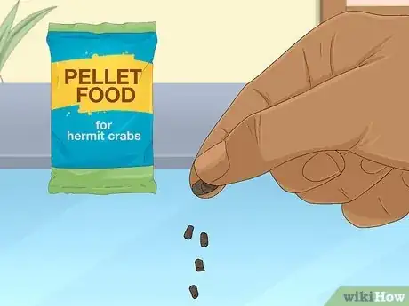 Imagen titulada Care for a Marine Hermit Crab Step 6