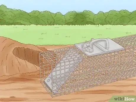 Imagen titulada Trap a Rabbit Step 2