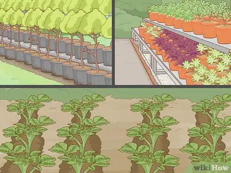 Imagen titulada Start a Plant Nursery Business Step 19