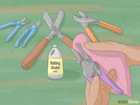 Imagen titulada Prune Azaleas Step 2
