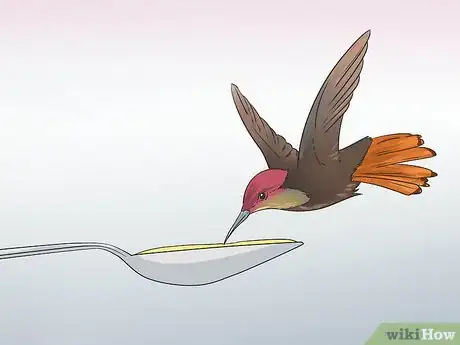 Imagen titulada Make Hummingbird Food Step 1