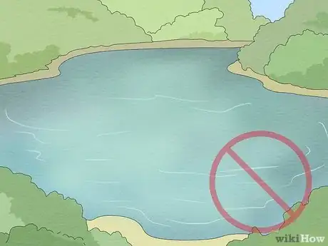 Imagen titulada Get over Your Fear of Sharks Step 14