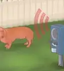 mantener a los perros fuera del césped