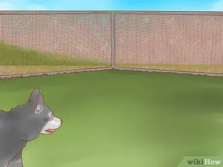 Imagen titulada Care for a Husky Step 7