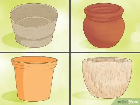 Imagen titulada Care for a Sansevieria or Snake Plant Step 2