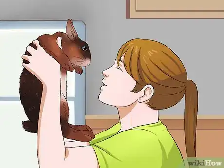 Imagen titulada Care for Rex Rabbits Step 3