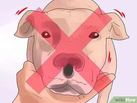 Imagen titulada Nurse a Dog Through Parvo Step 18