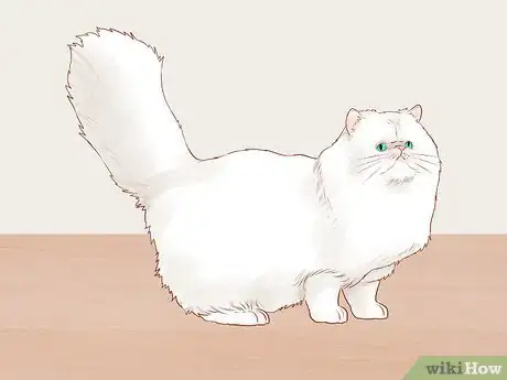 Imagen titulada Identify Cats Step 6