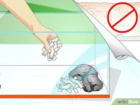 Imagen titulada Care for Your Lizard Step 5