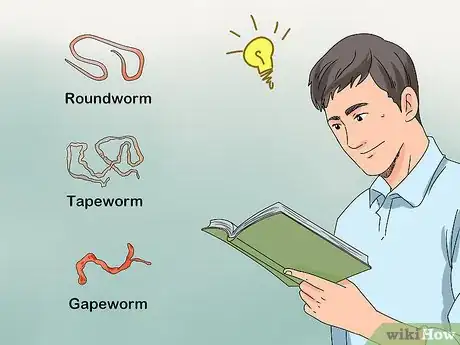Imagen titulada Worm Chickens Step 2