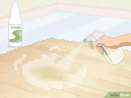 Imagen titulada Clean a Jute Rug Step 9