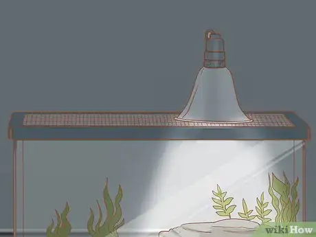 Imagen titulada Take Care of Baby Water Turtles Step 4