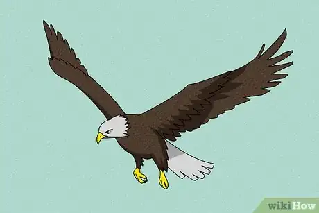 Imagen titulada Draw an Eagle Step 18