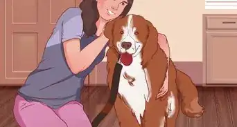 hacer que un perro deje de jalar la correa