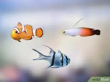 Imagen titulada Start a Saltwater Aquarium Step 2