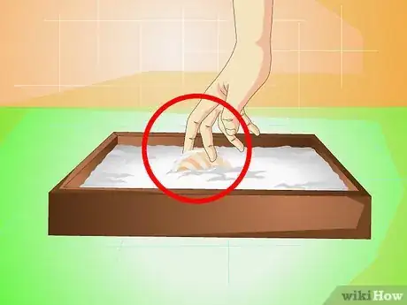 Imagen titulada Know when Your Hermit Crab Is Dead Step 5