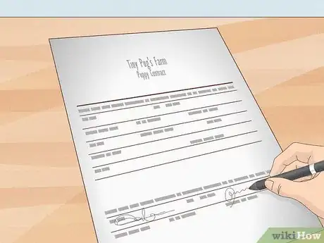 Imagen titulada Buy a Pug Puppy Step 14