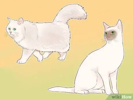 Imagen titulada Identify Cats Step 3