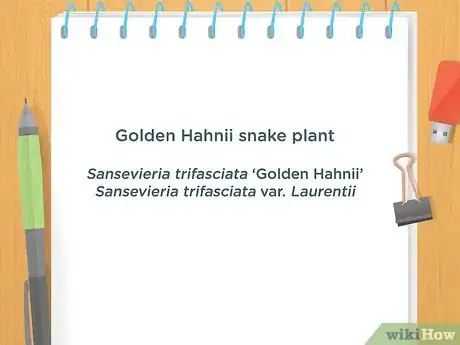 Imagen titulada Write a Scientific Name Step 4