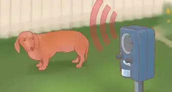 mantener a los perros fuera del césped