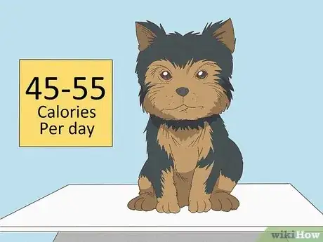 Imagen titulada Feed a Yorkie Puppy Step 9