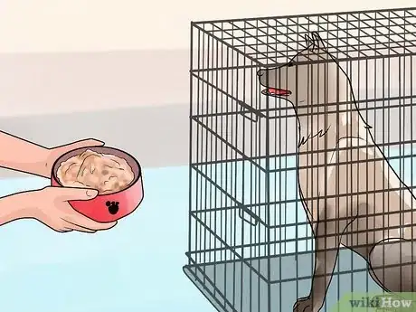Imagen titulada Train a Dog to Pee Outside Step 8