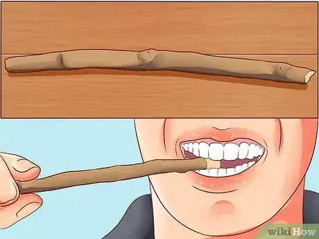 Imagen titulada Use Miswak Step 1