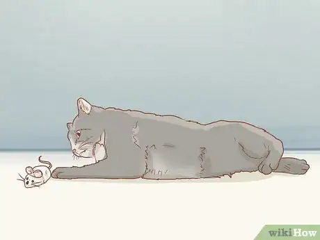 Imagen titulada Keep Cats Off Furniture Step 14