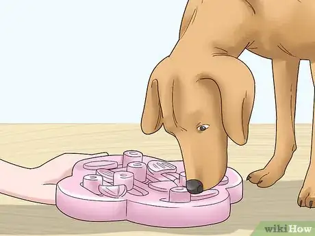 Imagen titulada Get Rid of Your Dog Step 9
