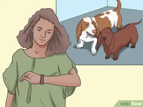 Imagen titulada Introduce a New Dog to Your House and Other Dogs Step 28