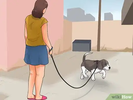 Imagen titulada Take Care of a Beagle Puppy Step 5