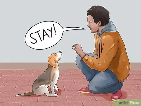 Imagen titulada Take Care of a Beagle Puppy Step 20