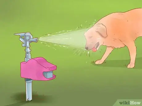 Imagen titulada Keep Dogs off Lawn Step 11