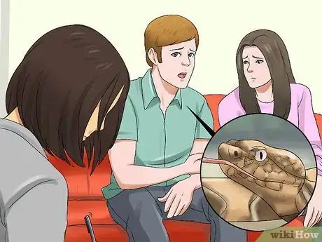 Imagen titulada Treat a Cat for Snakebite Step 7