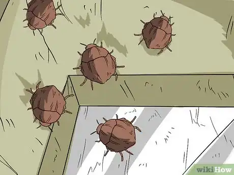 Imagen titulada Do Pest Control With a Vacuum Cleaner Step 8Bullet1