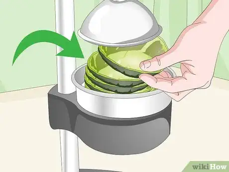 Imagen titulada Make Avocado Oil Step 9
