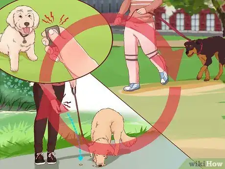 Imagen titulada Stop a Dog from Pulling on Its Leash Step 9