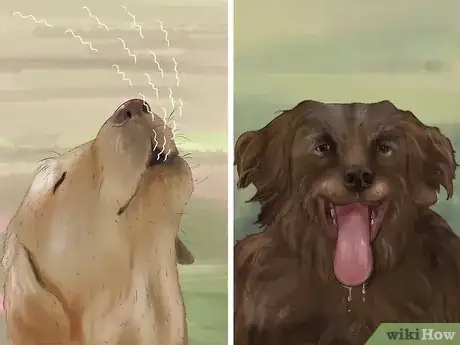 Imagen titulada Recognize Fear in Dogs Step 4