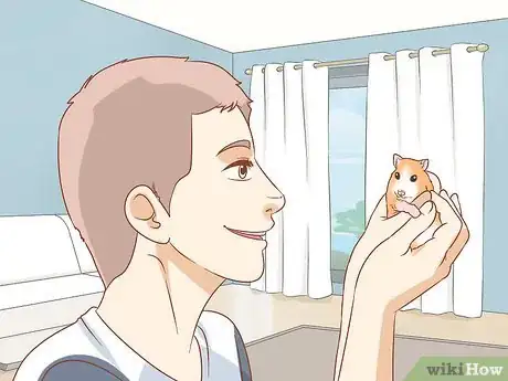 Imagen titulada Help Your Guinea Pig Adjust to You Step 7