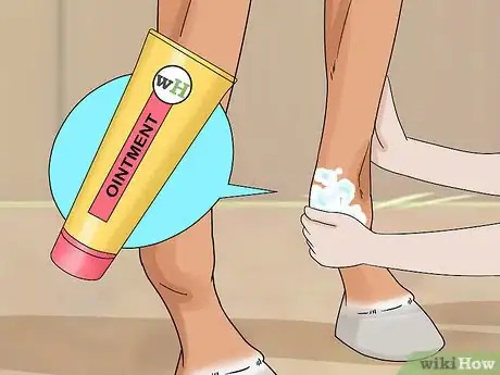 Imagen titulada Treat Edema in Horses Step 8