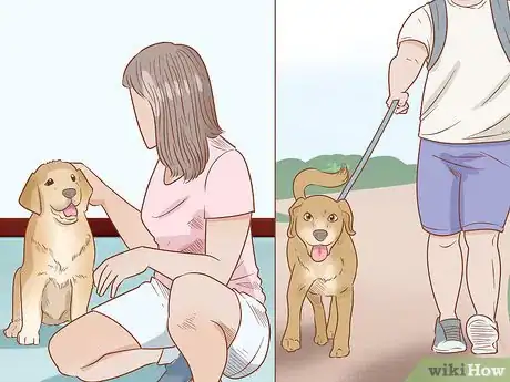 Imagen titulada Train Your Service Dog Without a Professional Trainer Step 10
