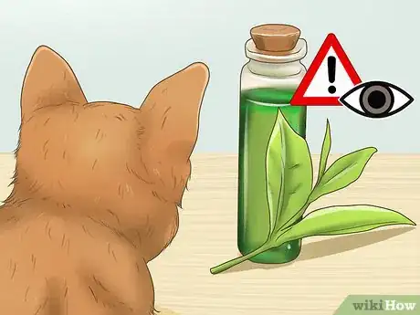 Imagen titulada Calm Your Cat with Aromatherapy Step 8