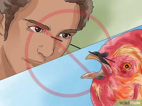 Imagen titulada Protect Yourself from an Attacking Rooster Step 5