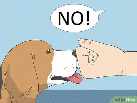 Imagen titulada Tell Your Dog No Step 1