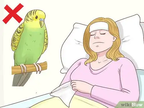 Imagen titulada Know if a Parakeet Is Right for You Step 10
