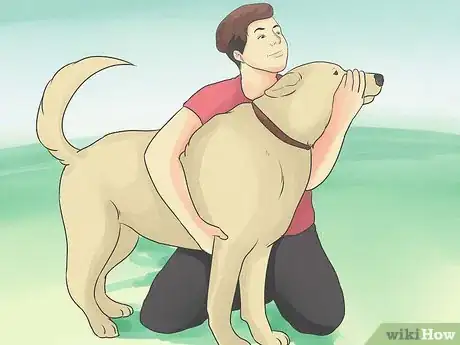 Imagen titulada Introduce a New Dog to Your House and Other Dogs Step 18