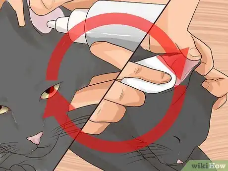 Imagen titulada Get Rid of Ear Mites in a Cat Step 12